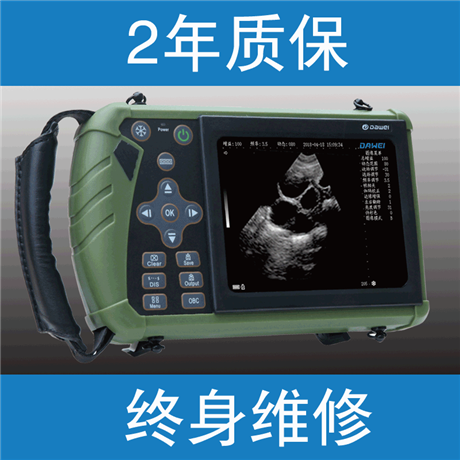 猪用b超机报价,给猪做b超的机器价格,养殖场猪兽用B超仪厂家