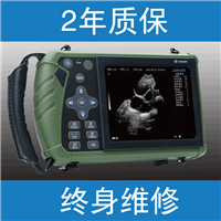 猪用b超机报价,给猪做b超的机器价格,养殖场猪兽用B超仪厂家