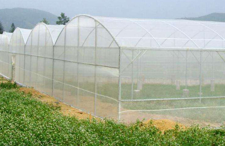 蔬菜大棚防虫网100目白色防虫网防虫网厂家
