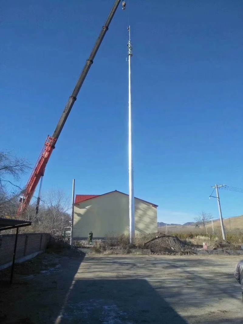 杜尔梅森ese2500避雷针 进口提前放电避雷针