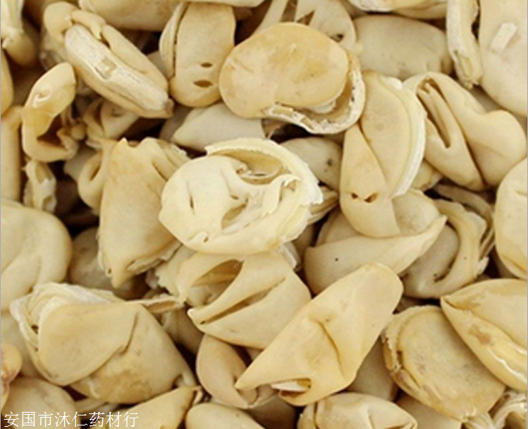 建宁摩罗哪里能买到摩罗多少钱一斤按方抓药