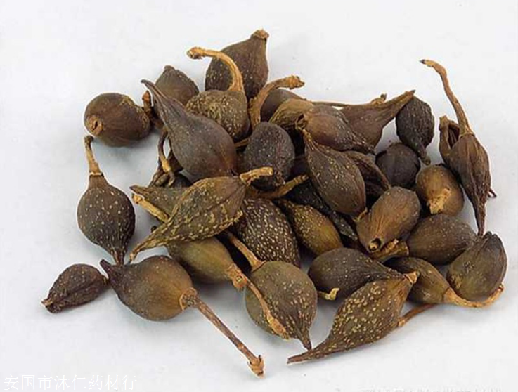 主营定结千金子霜千金子霜哪里能买到千金子霜冷背中药材