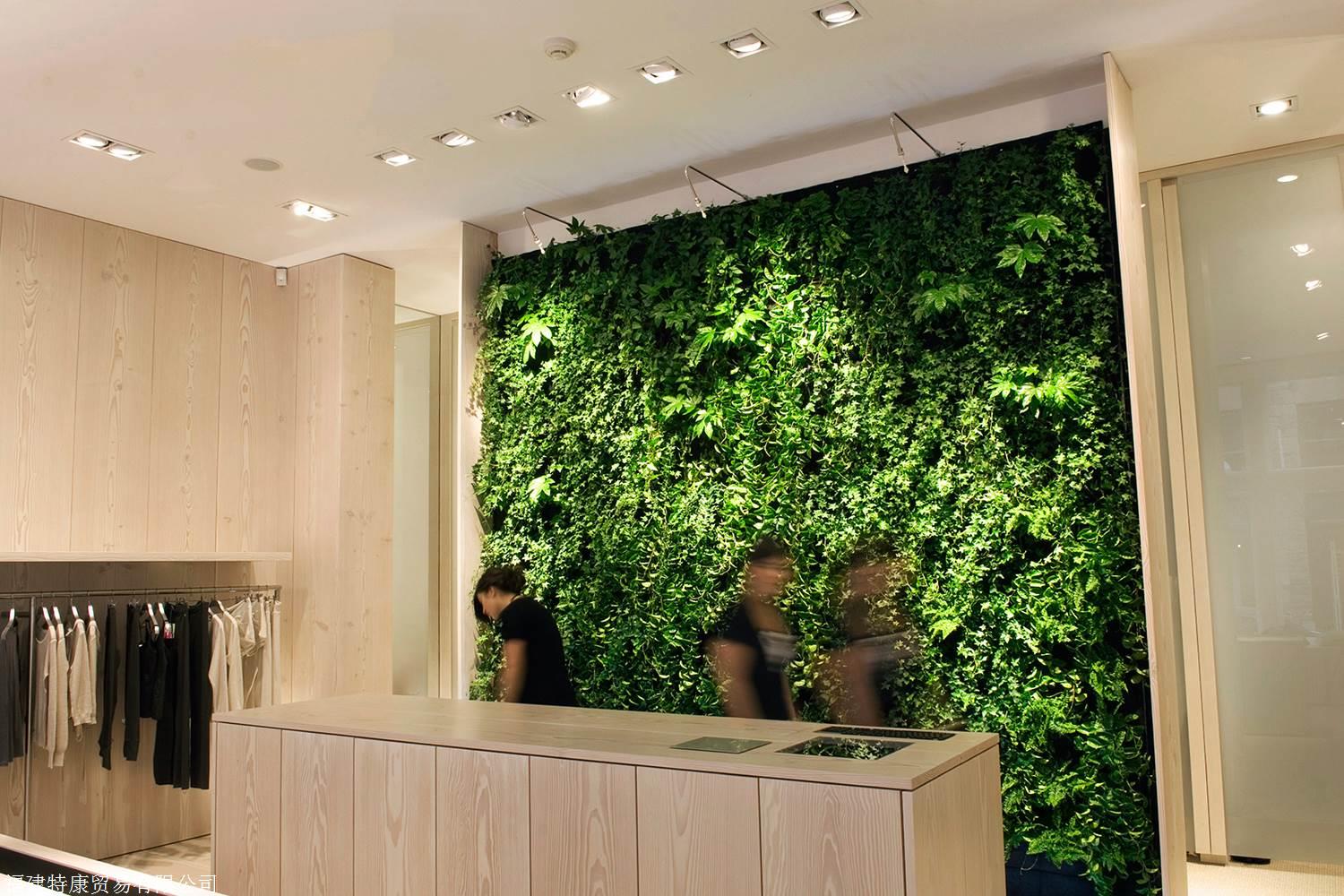 室内垂直绿化植物墙公司前台形象墙很需要有