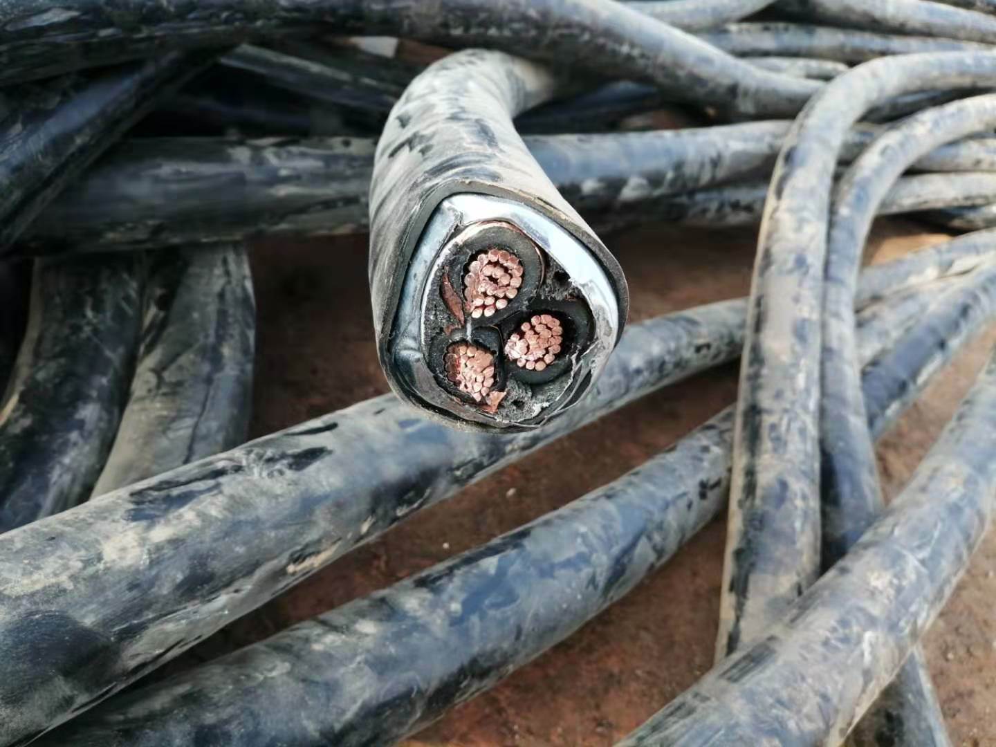 阿坝铝电缆回收调价总汇