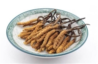 北滘镇回收冬虫夏草礼品,常年上门虫草回收