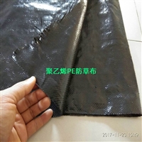山东PE防草布厂家,90克聚乙烯PE防草布型号齐全