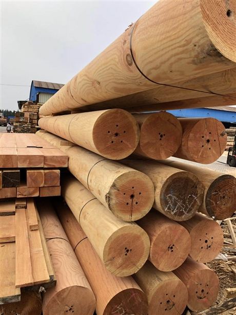 红松木价格 美国红松防腐木 河北红松木厂家