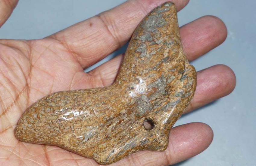 哪里上门交易骨化石价格高