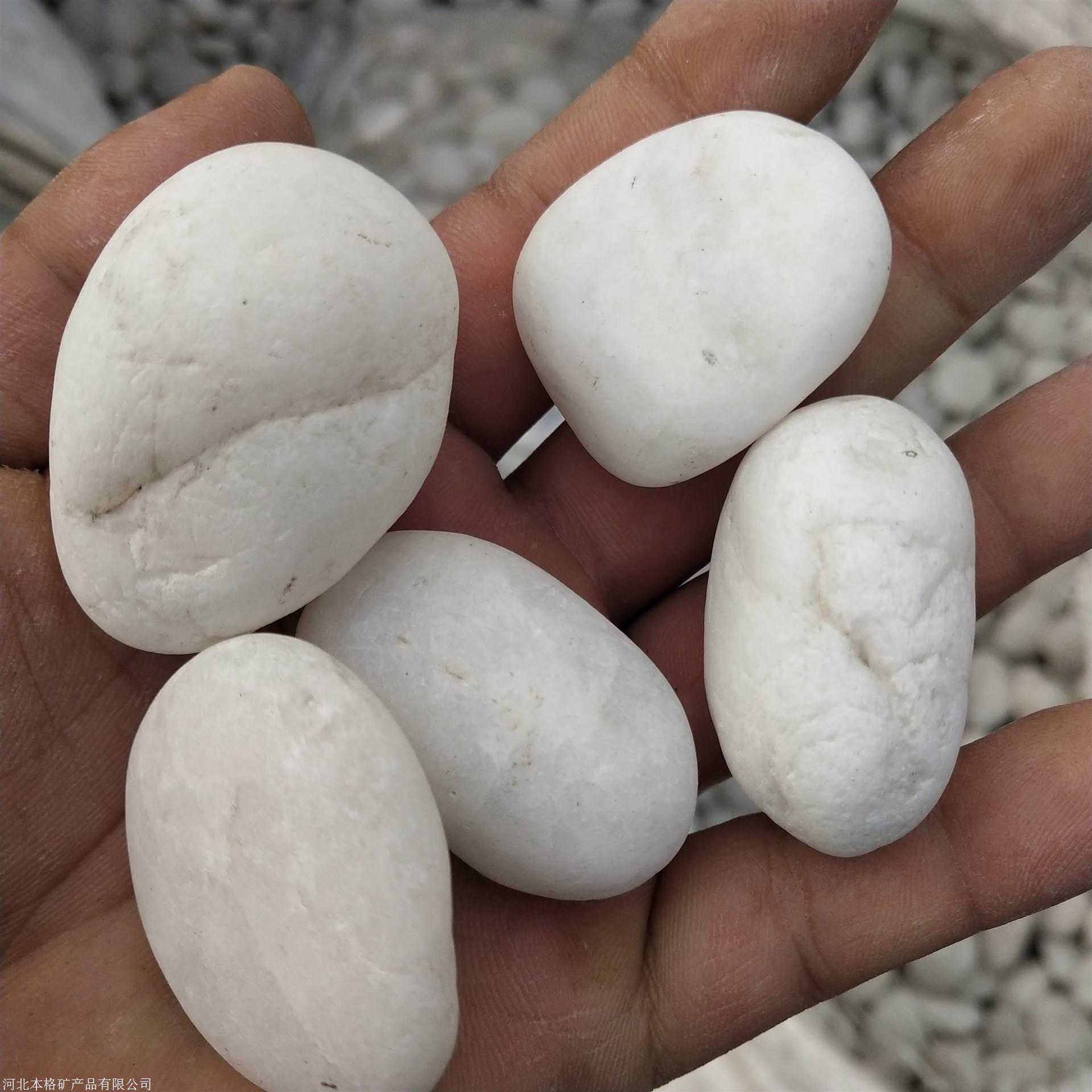 白色石头种类图片