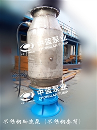 900QZ-100T潜水轴流泵厂家