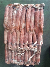 阿根廷海鲜进口清关，青岛海鲜进口报关公司