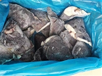 海鲜进口报关清关代理公司