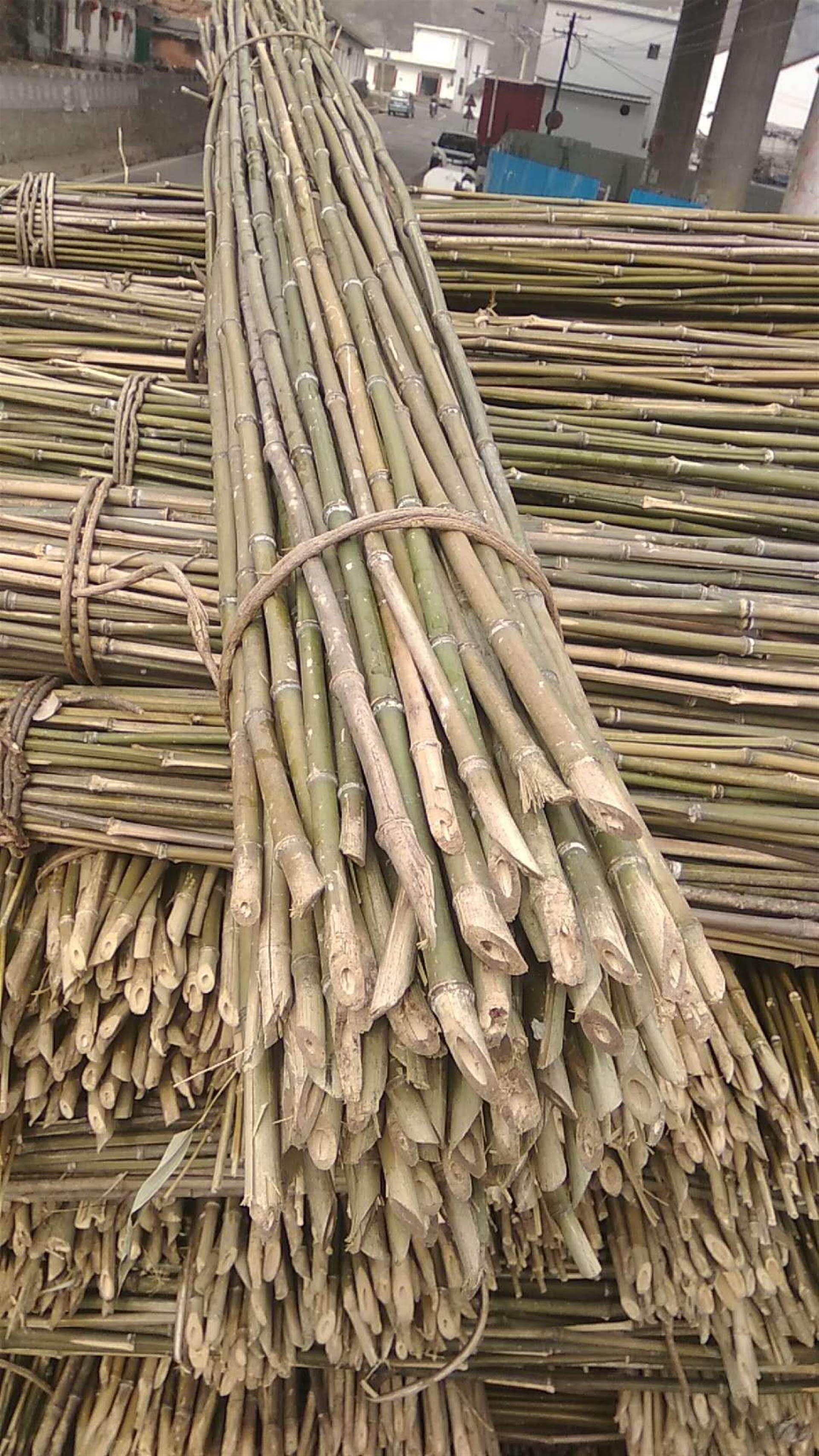 湖南菜架竹图片