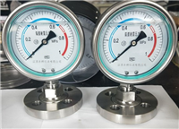 YMF-150隔膜压力表说明