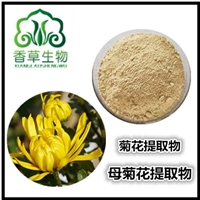 菊花提取物芹菜素98% 菊花提取液  菊花速溶粉