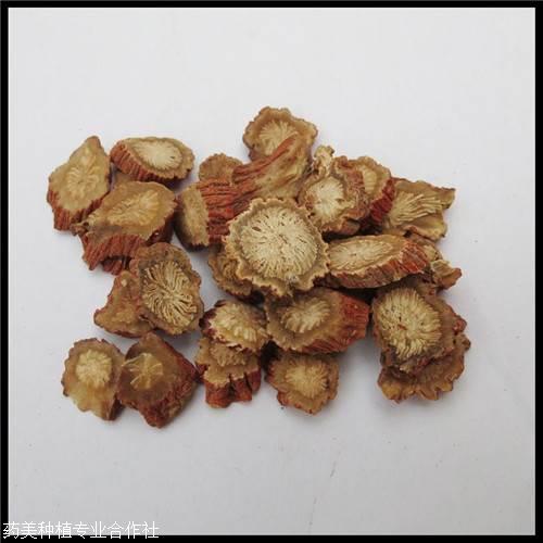 一亩地种植丹参种苗需要多少棵