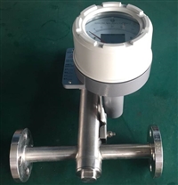 水平安装金属管浮子流量计 DN40金属管浮子流量计