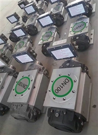 DN25气体腰轮流量计 LLQ天然气腰轮流量计