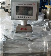 高品质DN20天然气流量计 DN20小口径天然气流量计