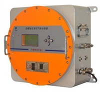华分赛瑞SR-2030Ex 电化学氧分析仪 在线式