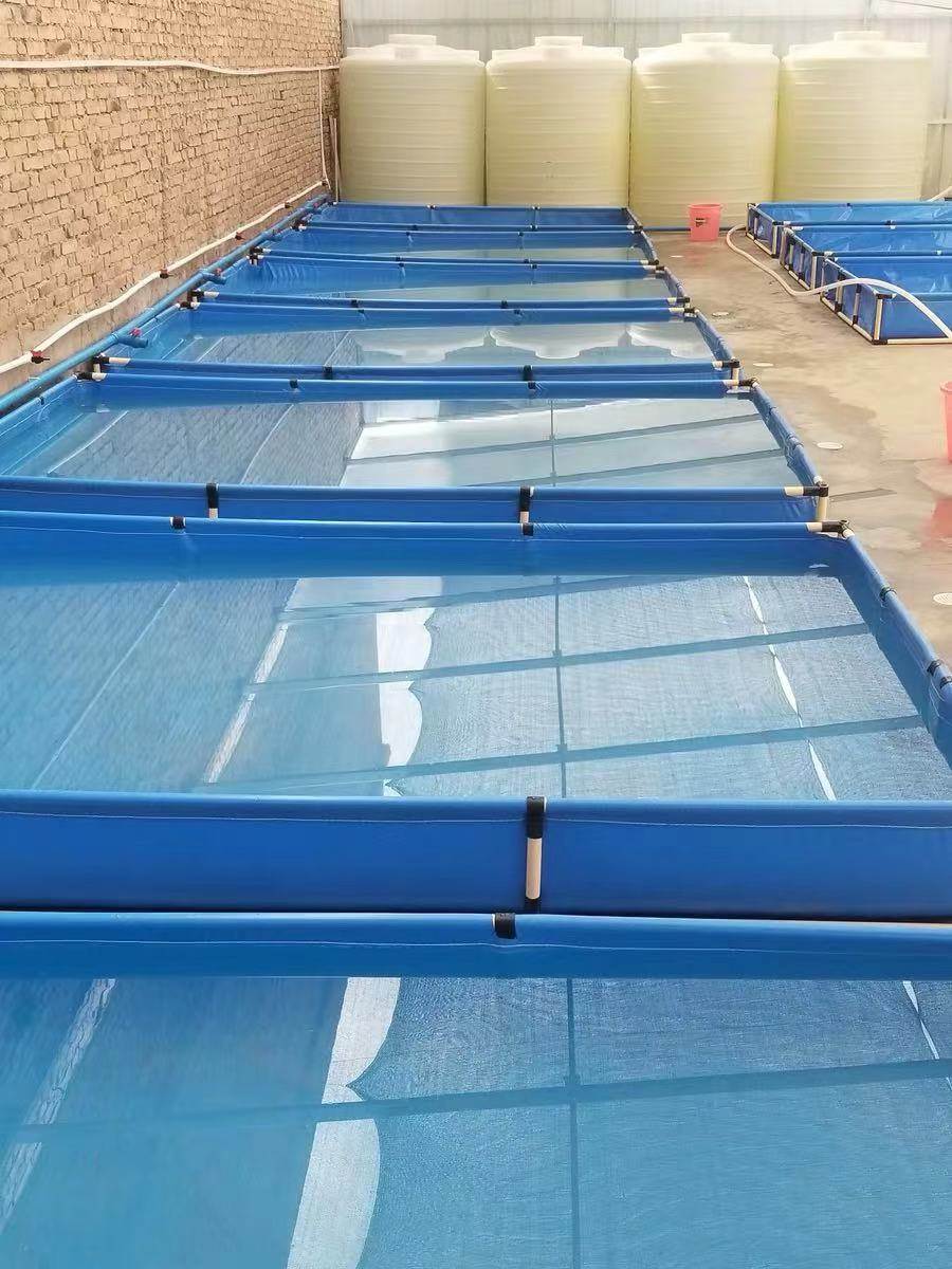 定做帆布养殖水池帆布养殖龙虾池