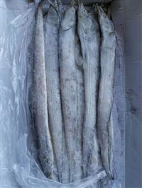 带鱼进口清关代理，青岛水产品进口清关公司