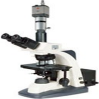 XSP-BM-12CA双目光学显微镜 生物显微镜厂家