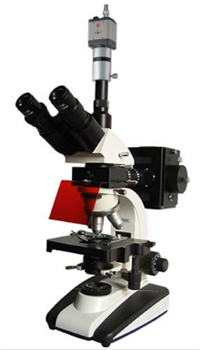 BM-20AYC/AYS/AYD/AYP/AYV电脑落射荧光显微镜 生物显微镜厂家