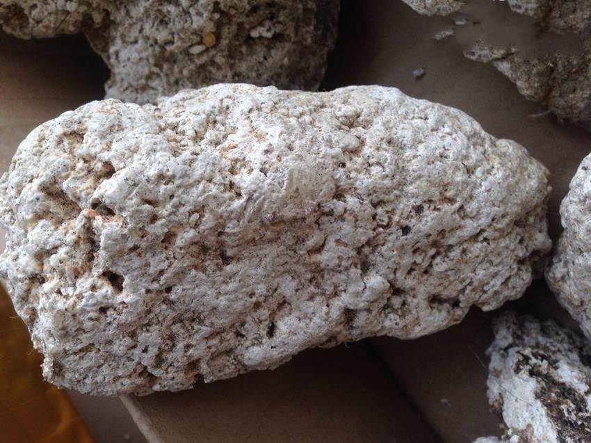 今年龙涎香快速交易市场行情