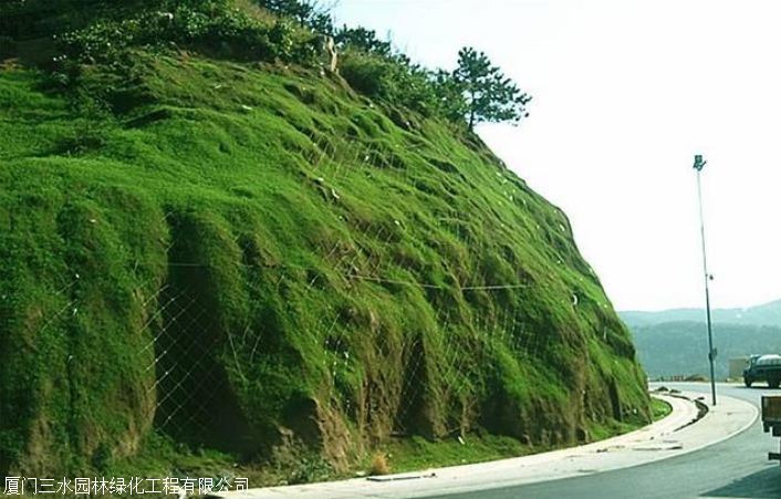 华中湖北黄冈边坡绿化复绿一般用什么草