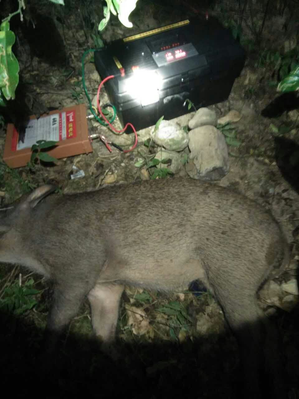 广州捕猎机厂家黄页 全新升级捕猎工具