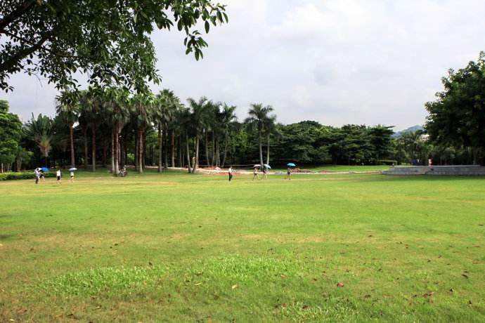 【深圳光明新区草坪批发】价格,厂家-搜了网