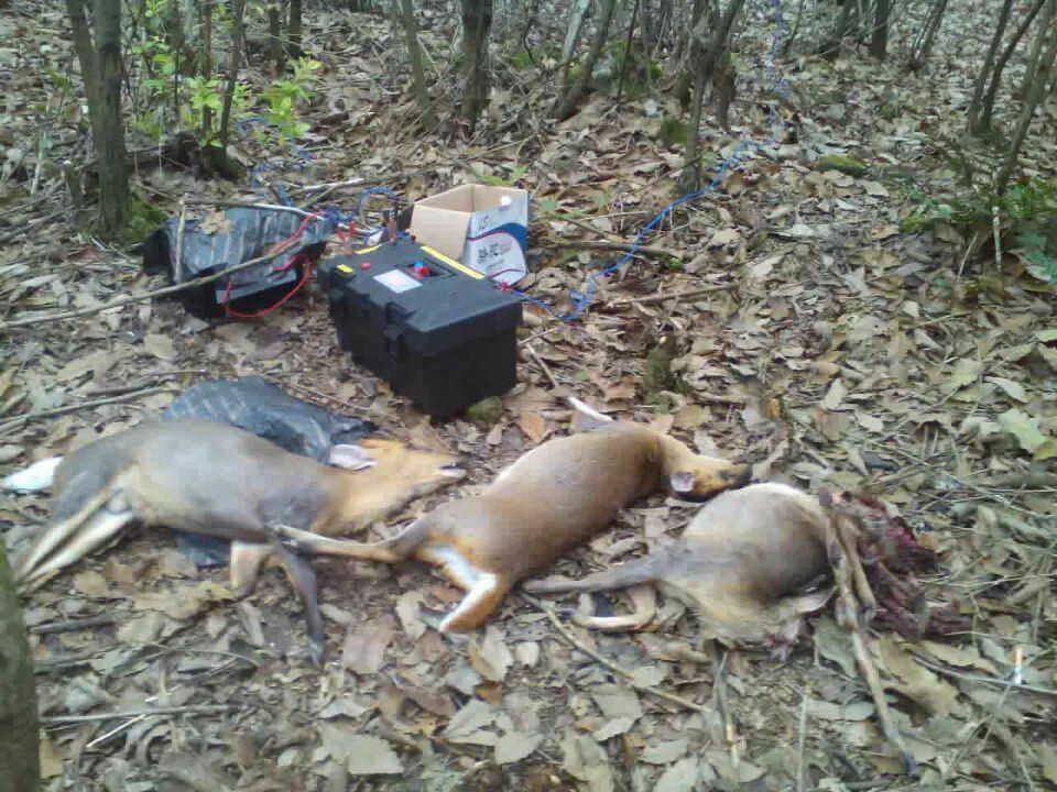 辽源捕猎机厂家哪家好