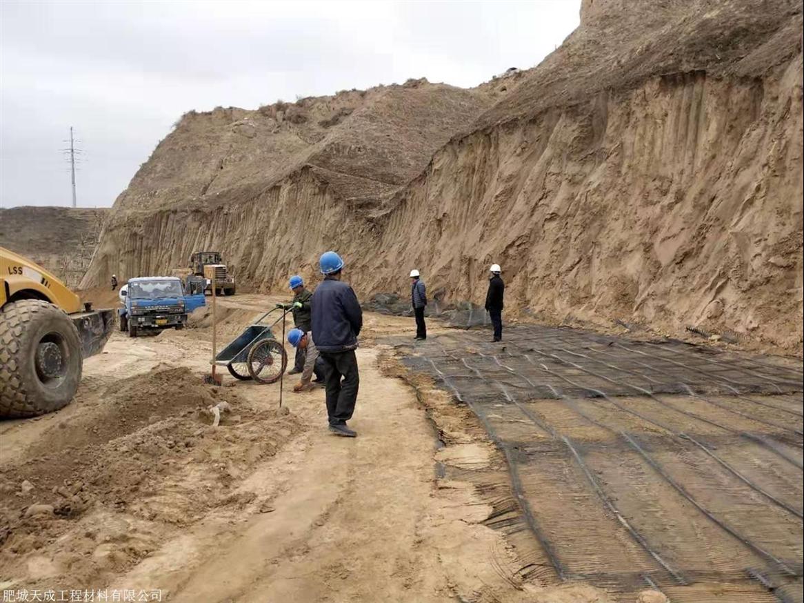 河北单向塑料土工格栅价格