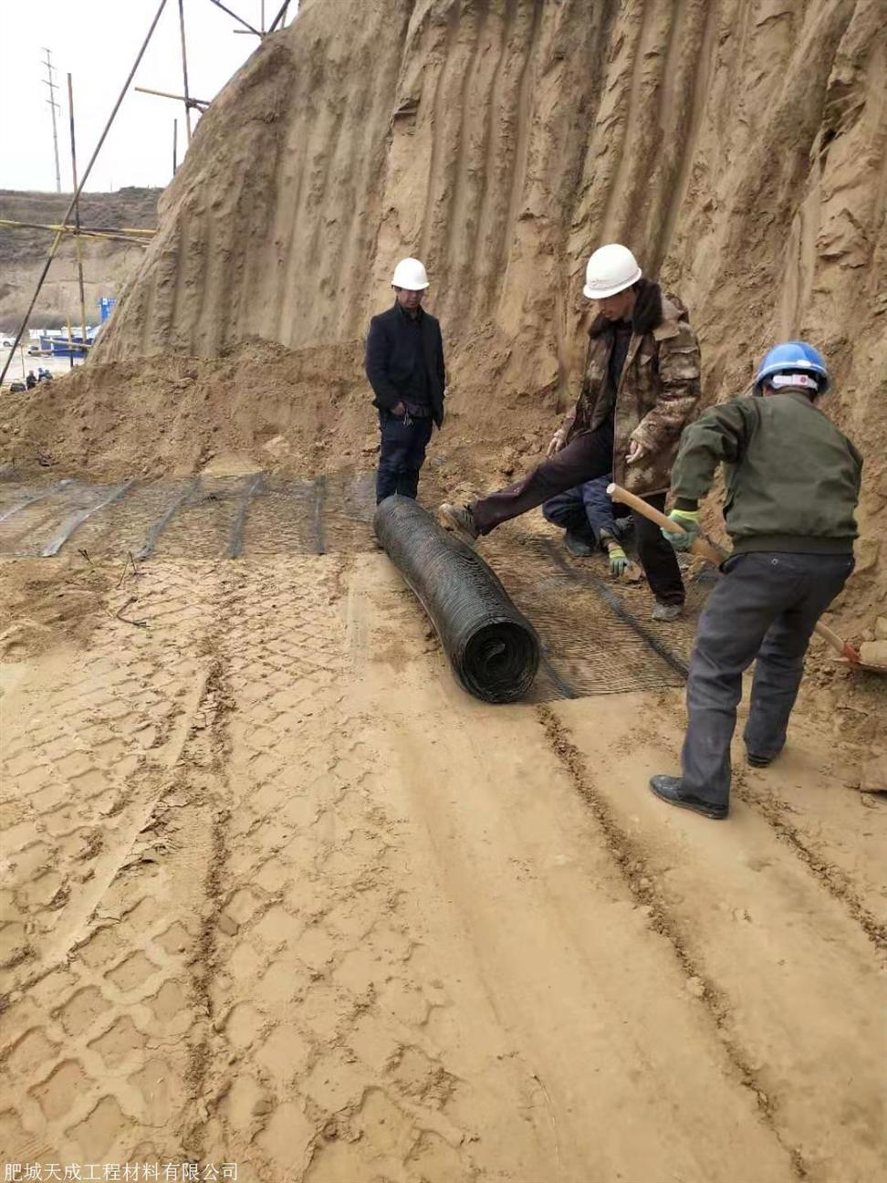 山东肥城单向塑料土工格栅批发价格