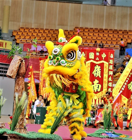 广东南海开业醒狮队视频